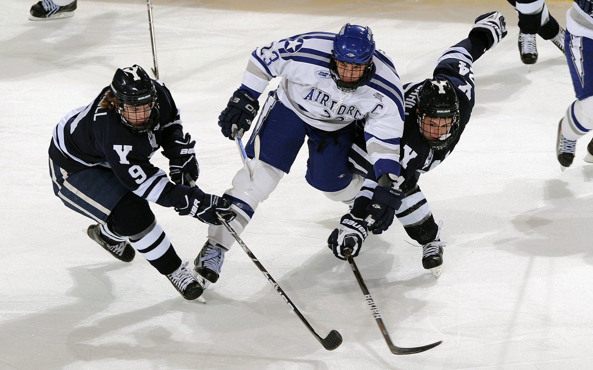 网络热议：哪些比赛成为社交平台焦点，比赛是社交吗